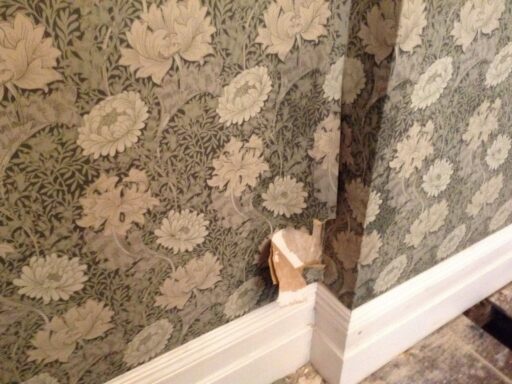 Damp on internal walls
