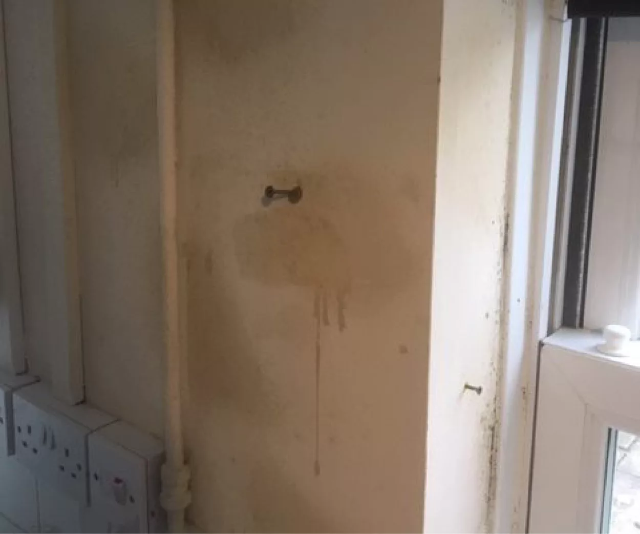 Damp Walls | Sevenoaks Kent | South East Timber & Damp