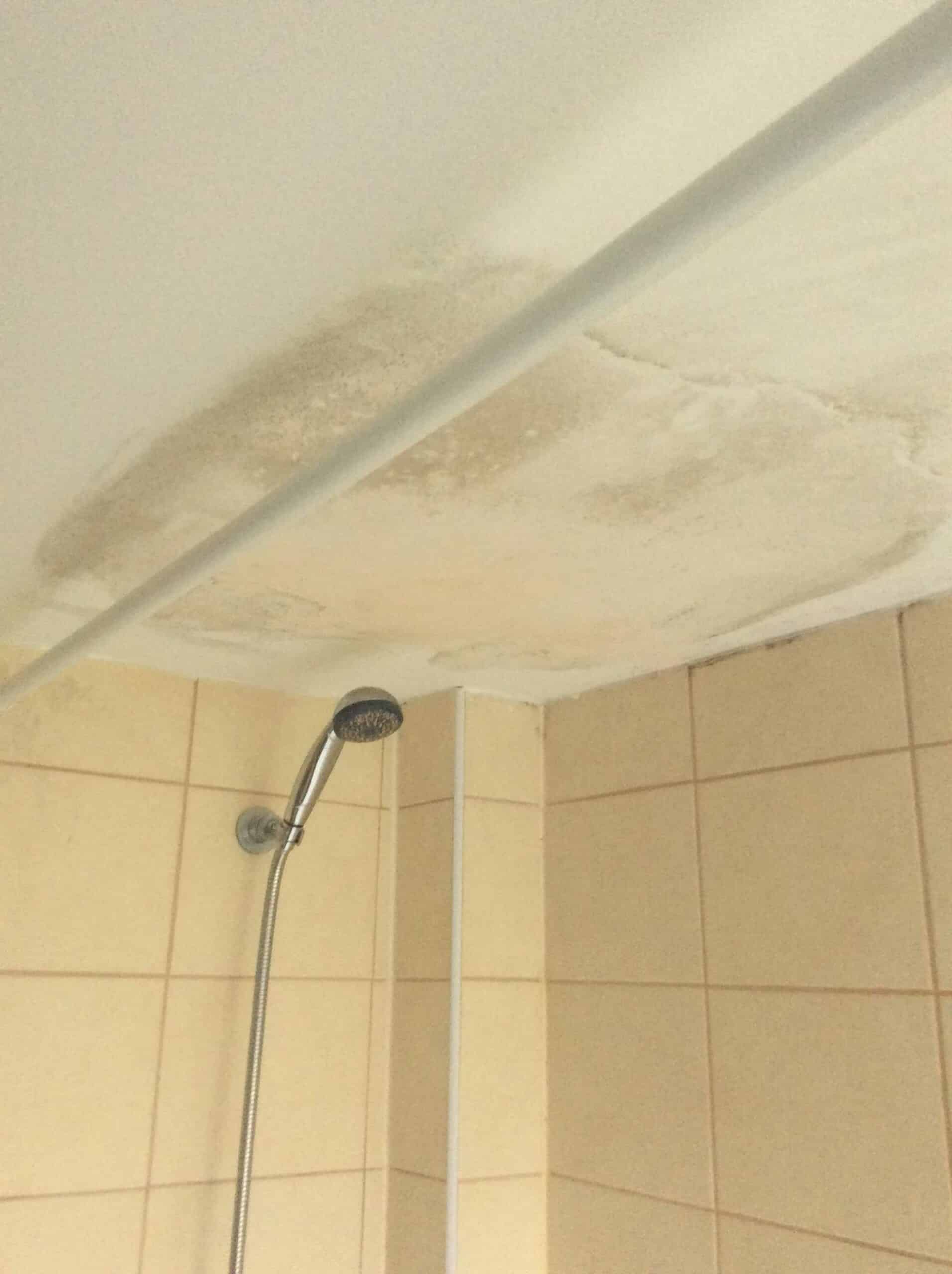 Damp Treatment Condensation shower — SouthEast Timber & Damp Ltd.