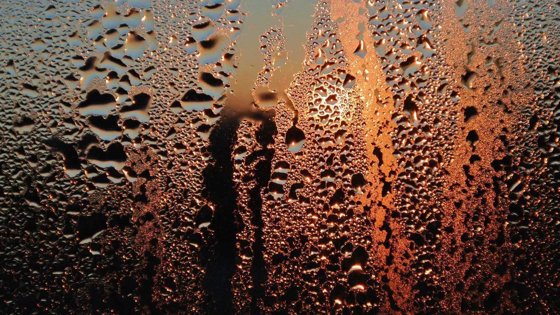 One of the classic damp problems, condensation on a window.