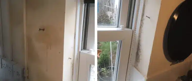 Damp Walls | Sevenoaks Kent | South East Timber & Damp