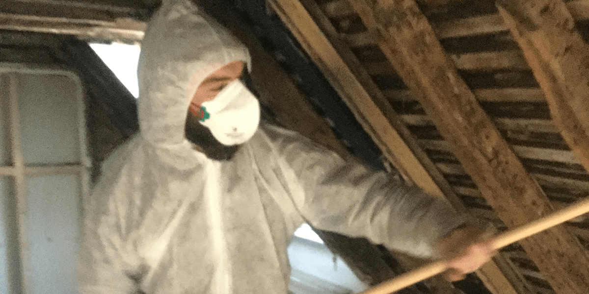 Dry Rot Treatment Kent South East Timber & Damp