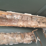 Dry Rot Treatment