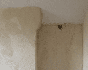 Penetrating Damp