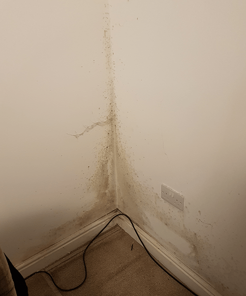 Rising Damp