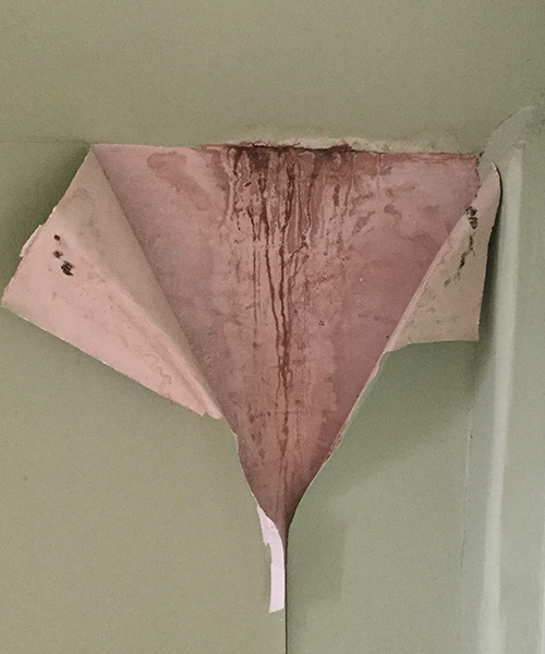 Types of damp 2 500x600_ — SouthEast Timber & Damp Ltd.