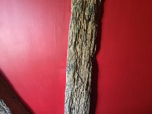 Woodworm Treatment