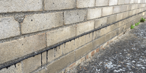 FAQs Team 2 1200x600 Header FAQs rising damp