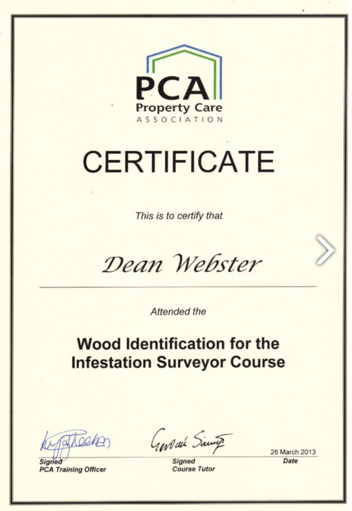 Dean Webster