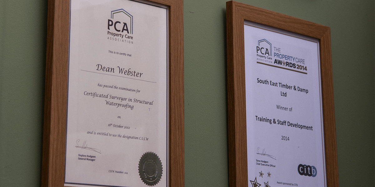 Meet the Team — SouthEast Timber & Damp Ltd.