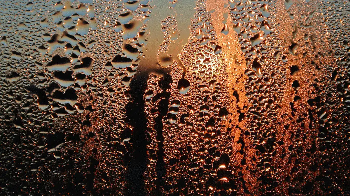 DIY Damp proofing can help condensation, such as you can see in this picture. 