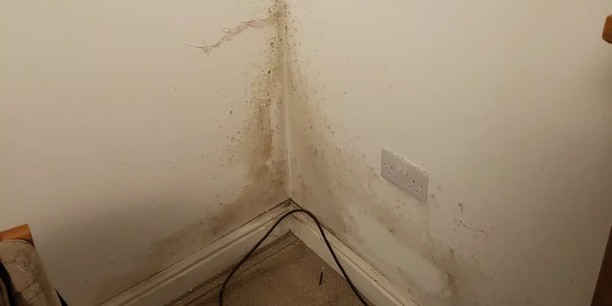 How to spot rising damp. This an example of damp around a skirting board. 