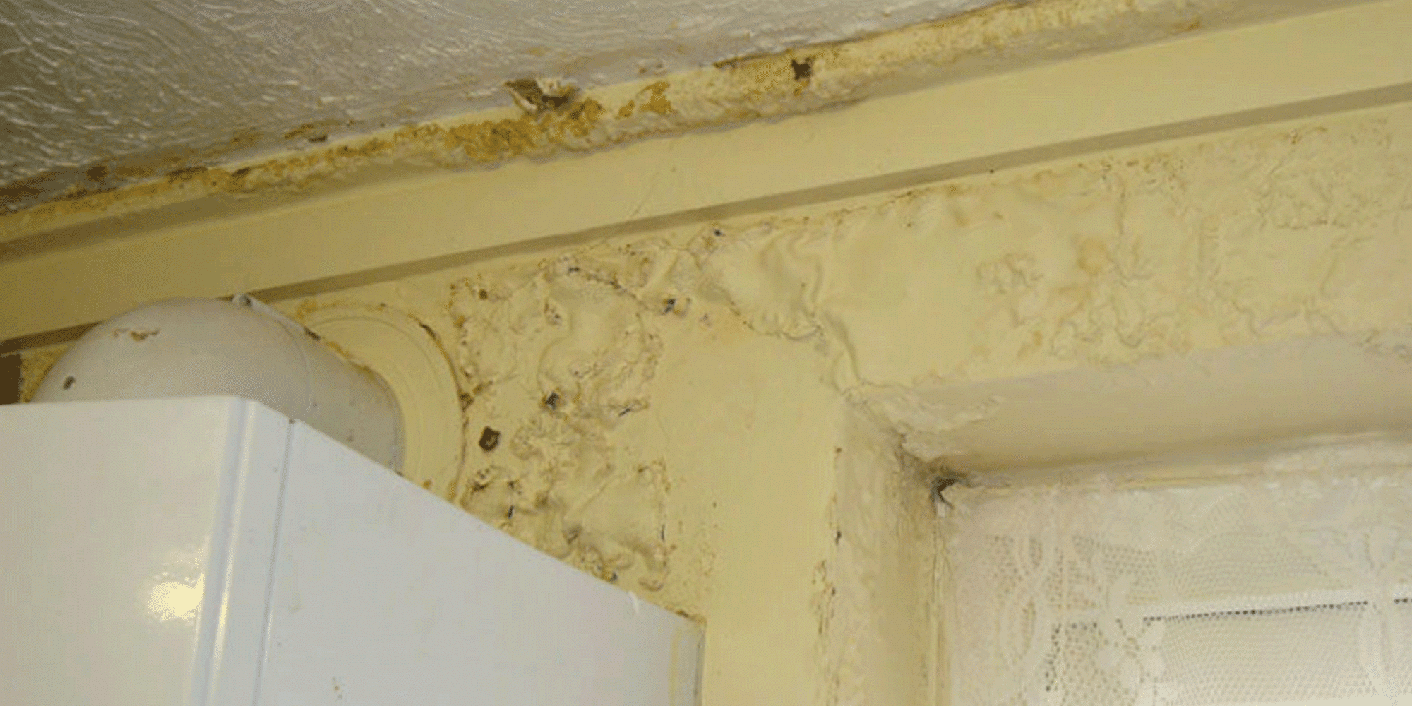 How to spot rising damp. This is an example of penetrating damp.