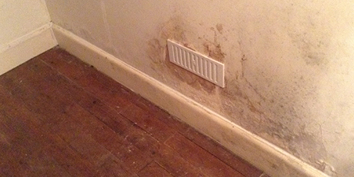 Damp proofing canterbury