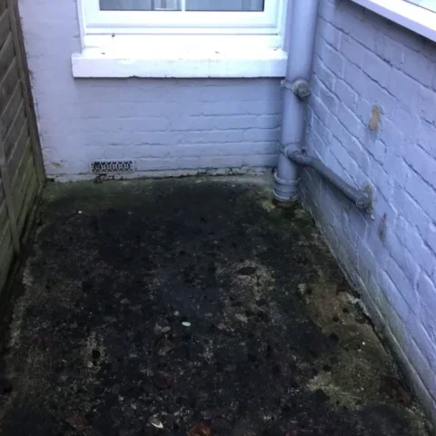 Damp Treatment Tunbridge Wells