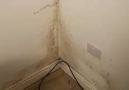 How to spot rising damp. This an example of damp around a skirting board.