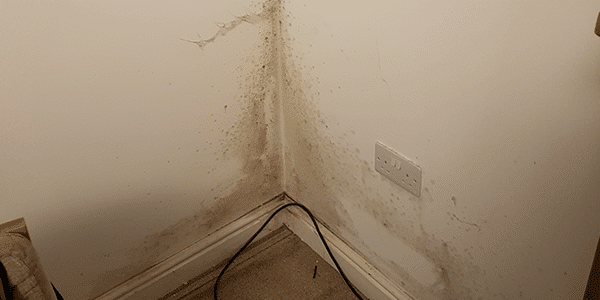 How to spot rising damp. This an example of damp around a skirting board.
