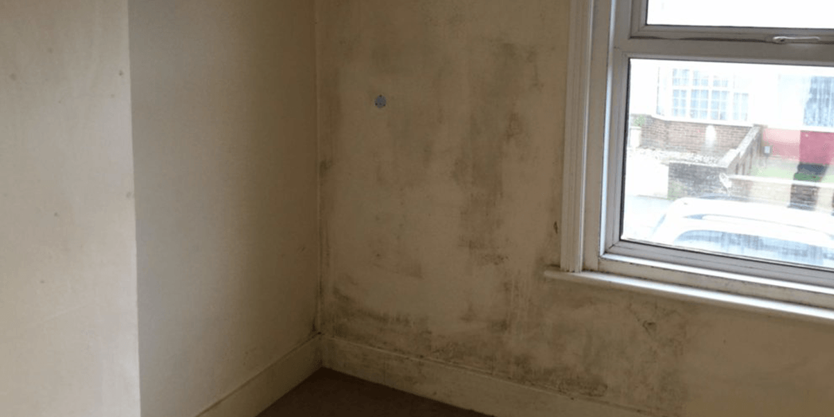 Rising Damp 1 1200x600 Header Rising Damp