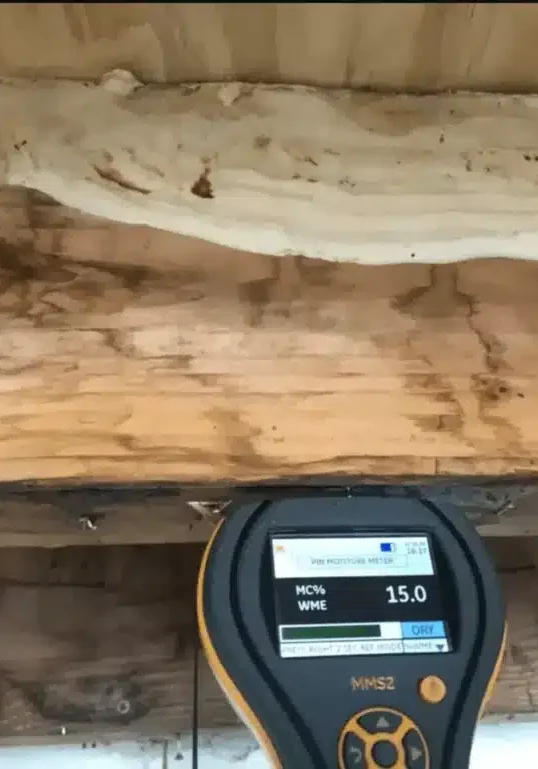 dry rot repair