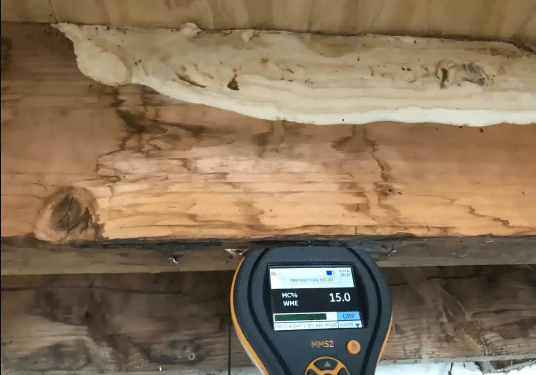 dry rot repair