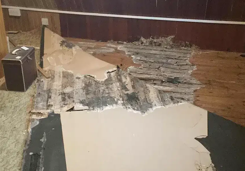 Signs of Dry Rot